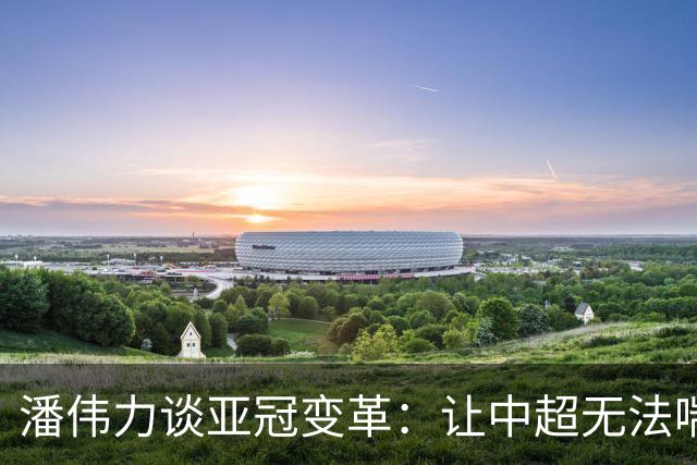 潘伟力谈亚冠变革：让中超无法喘息 球迷不用看了